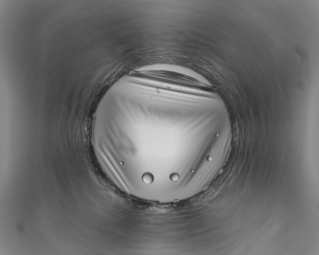 X0000110980280200907101416