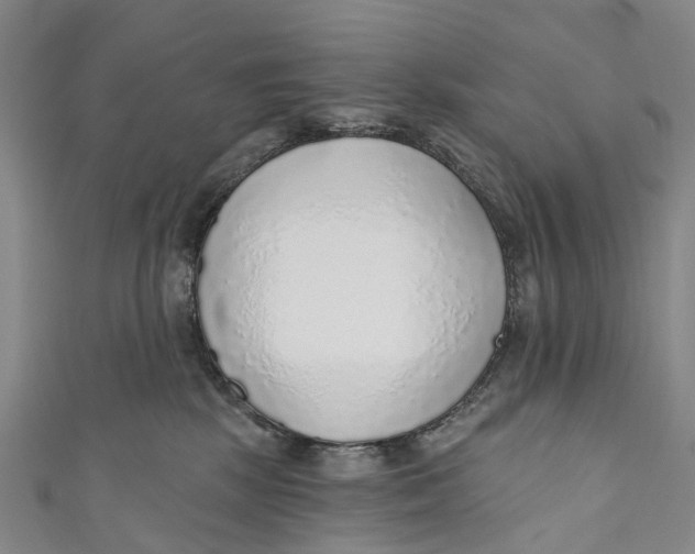 X0000110980281200907101416