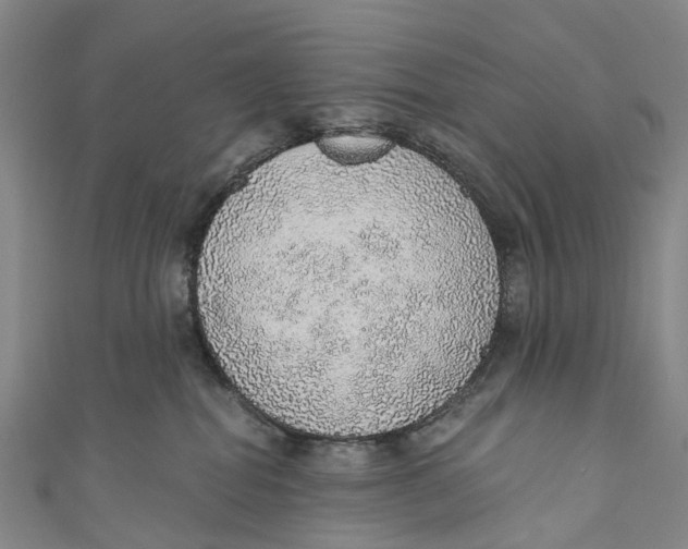 X0000110980282200907101416