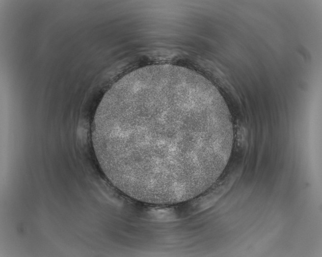 X0000110980283200907101416