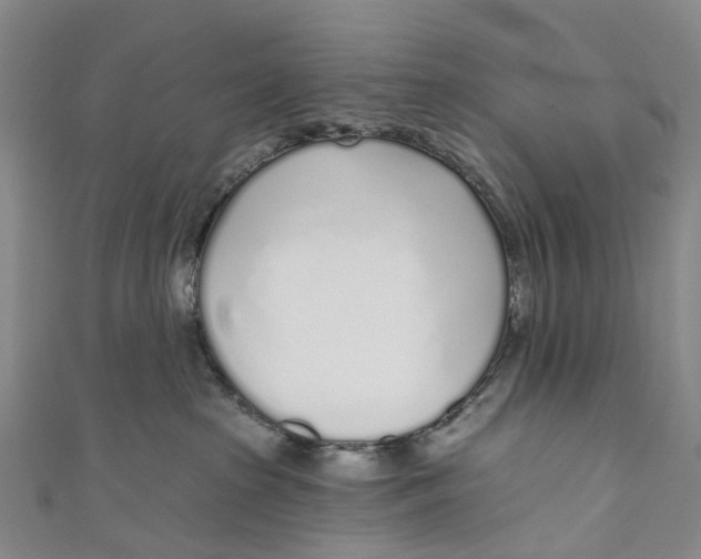 X0000110980285200907101416