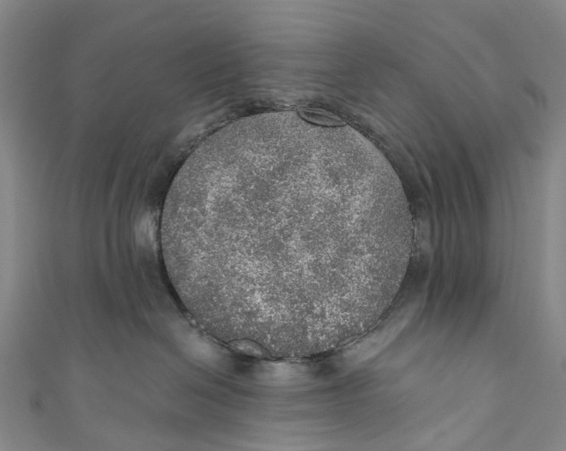 X0000110980286200907101416