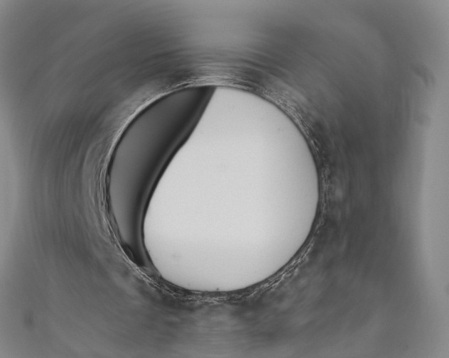 X0000110980289200907101416