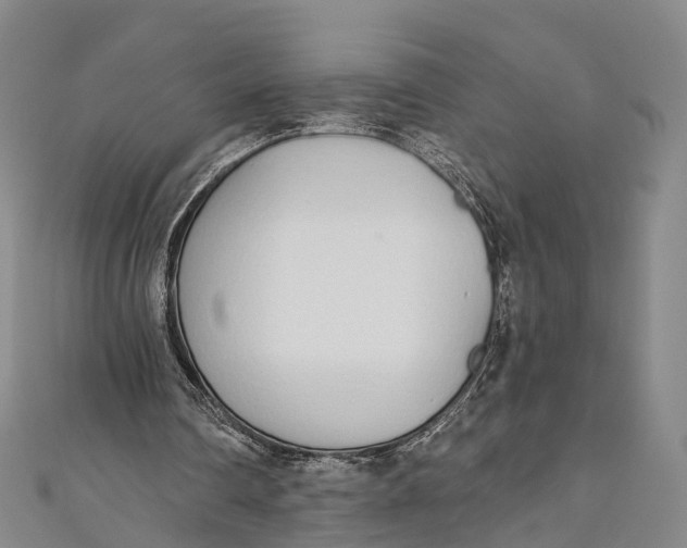 X0000110980290200907101416