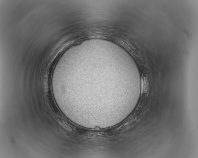 X0000110980291200907101416