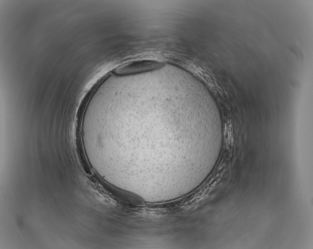 X0000110980292200907101416