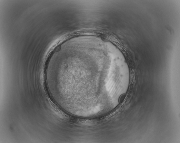 X0000110980293200907101416