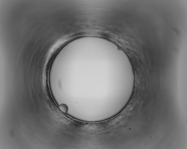 X0000110980294200907101416