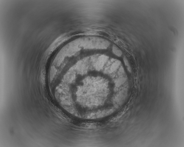 X0000110980295200907101416