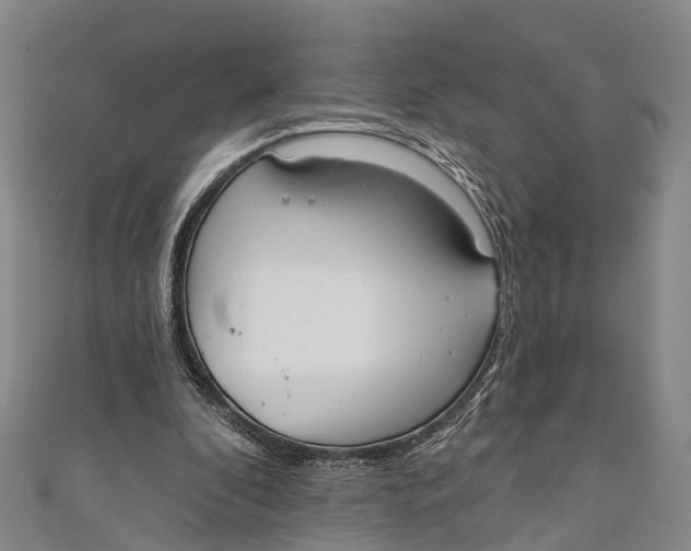 X0000110980296200907101416