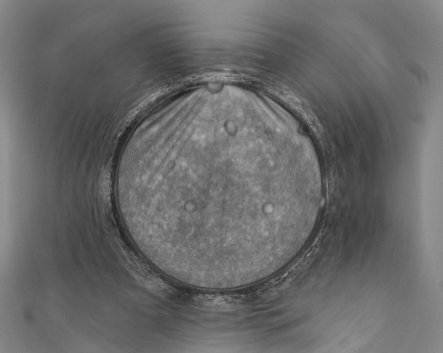 X0000110980297200907101416