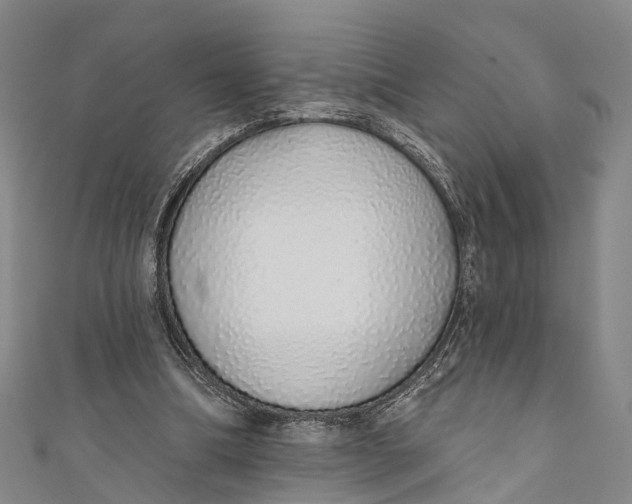 X0000110980298200907101416