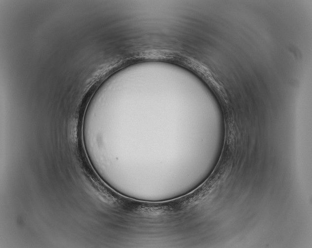 X0000110980299200907101416