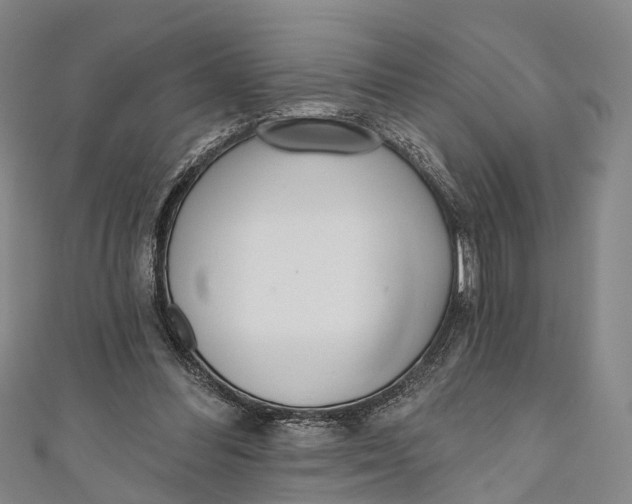 X0000110980300200907101416