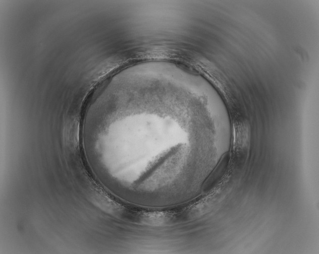 X0000110980301200907101416