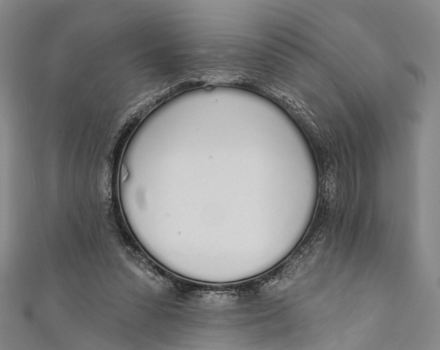 X0000110980303200907101415