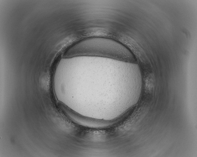 X0000110980304200907101415