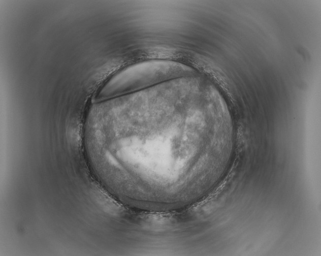 X0000110980305200907101415