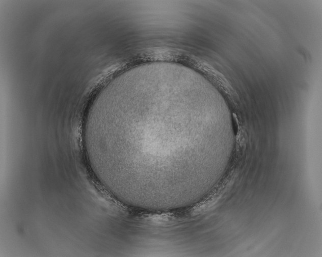 X0000110980306200907101415