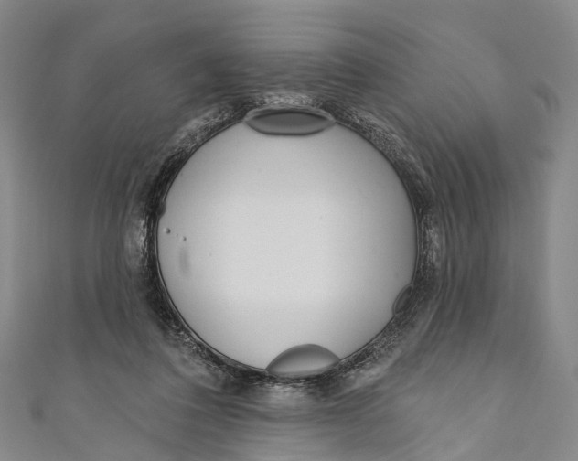 X0000110980308200907101415