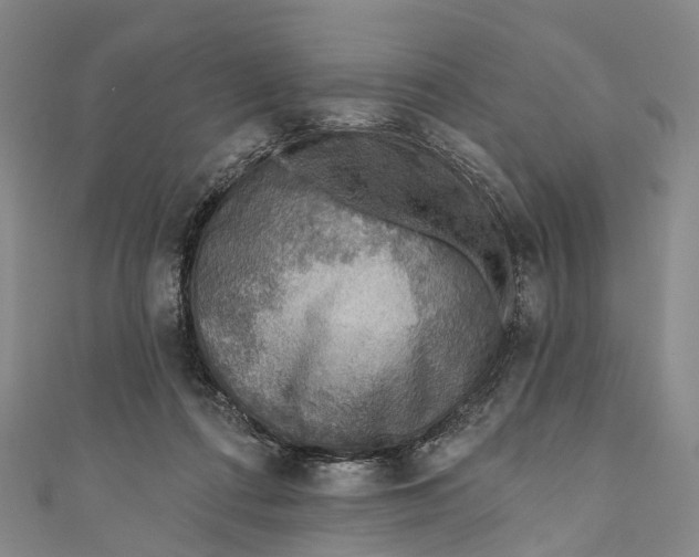 X0000110980312200907101415