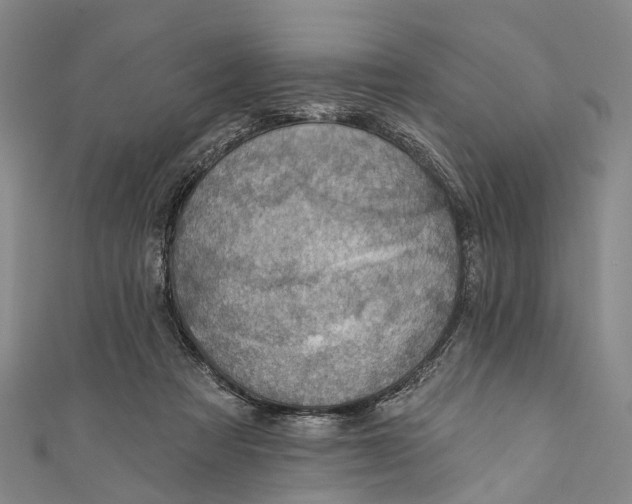 X0000110980313200907101415