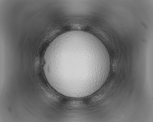 X0000110980314200907101415