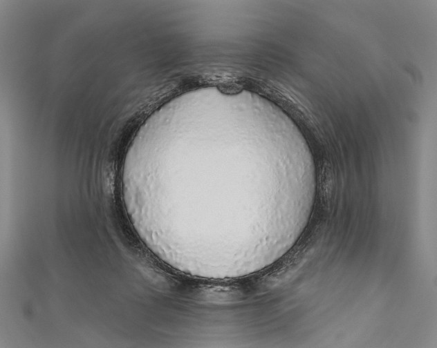 X0000110980315200907101415