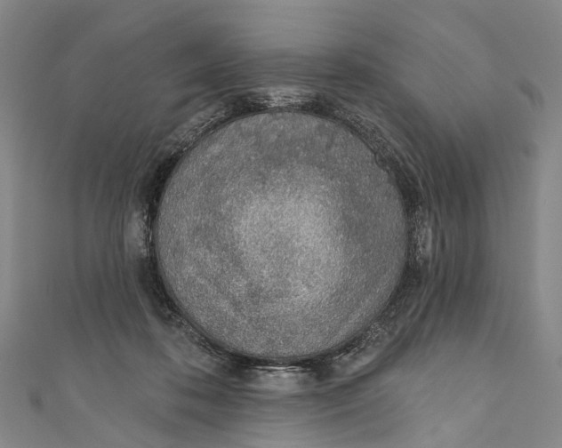 X0000110980316200907101415