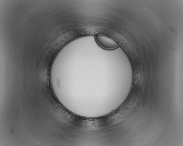 X0000110980317200907101415