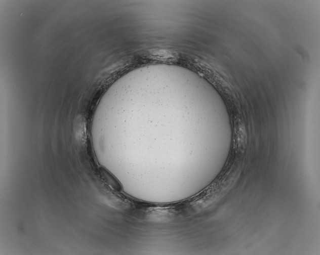 X0000110980320200907101415