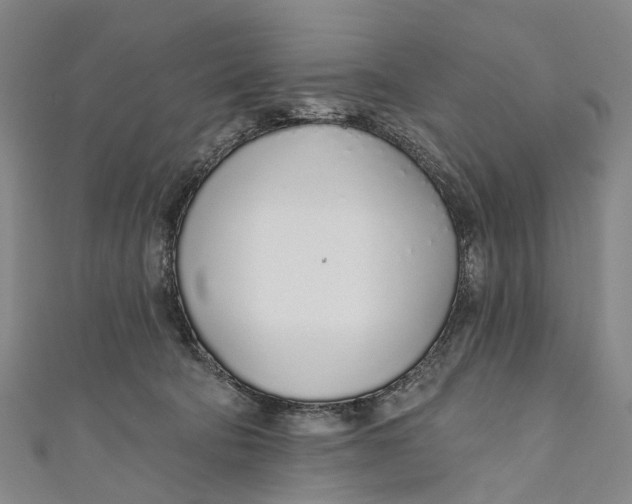 X0000110980322200907101415