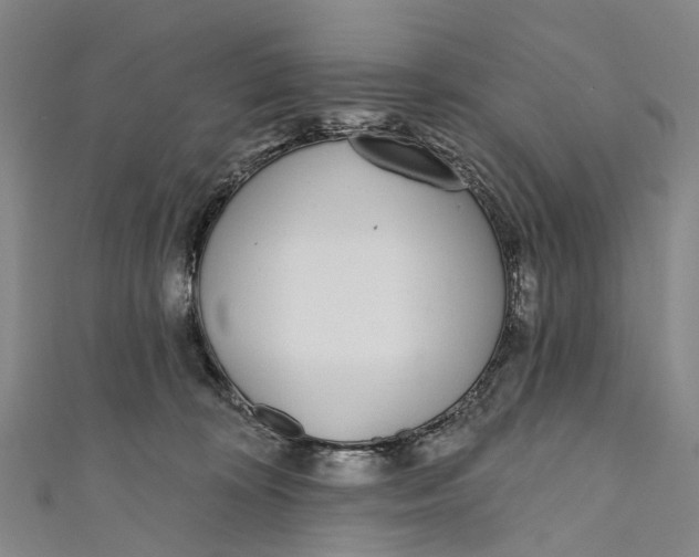 X0000110980324200907101415