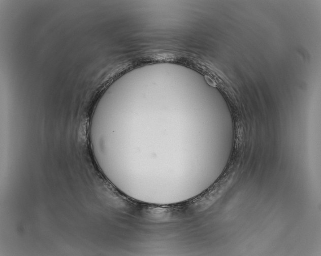 X0000110980325200907101415