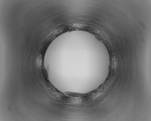 X0000110980328200907101415