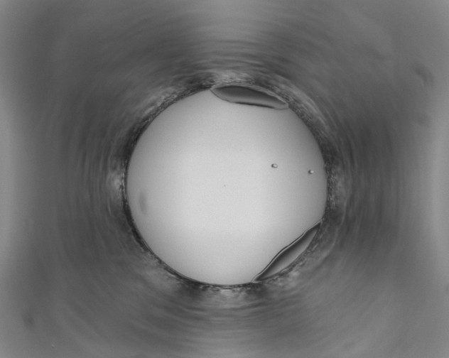 X0000110980329200907101415