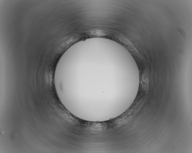 X0000110980330200907101415