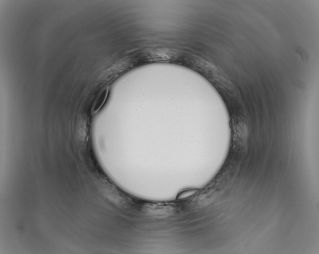 X0000110980331200907101415