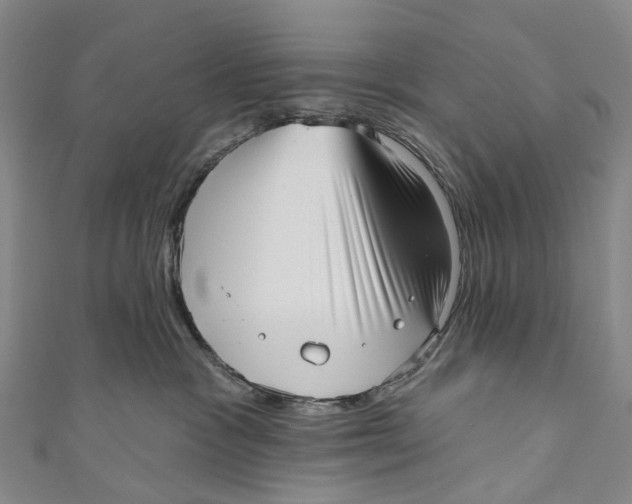 X0000110980333200907101415