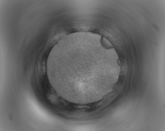 X0000110980334200907101415