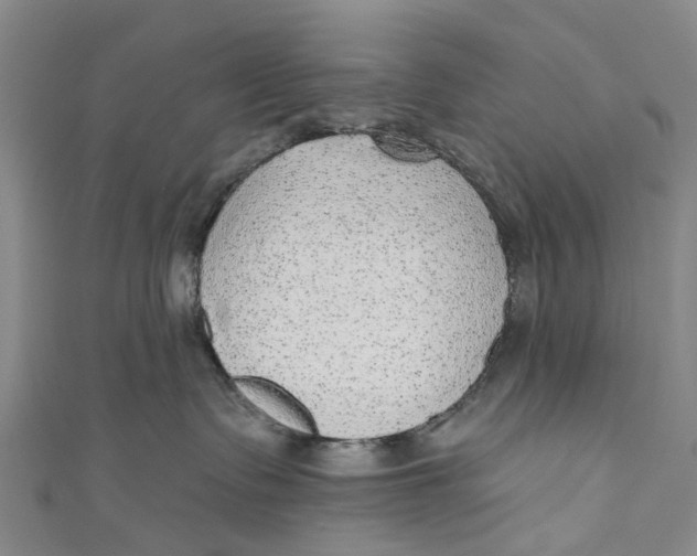 X0000110980335200907101415