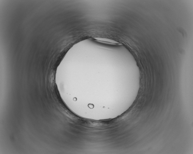 X0000110980336200907101415