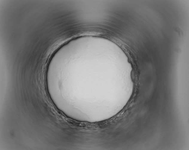 X0000110980337200907101414