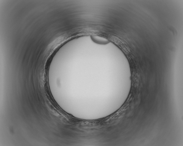 X0000110980338200907101414