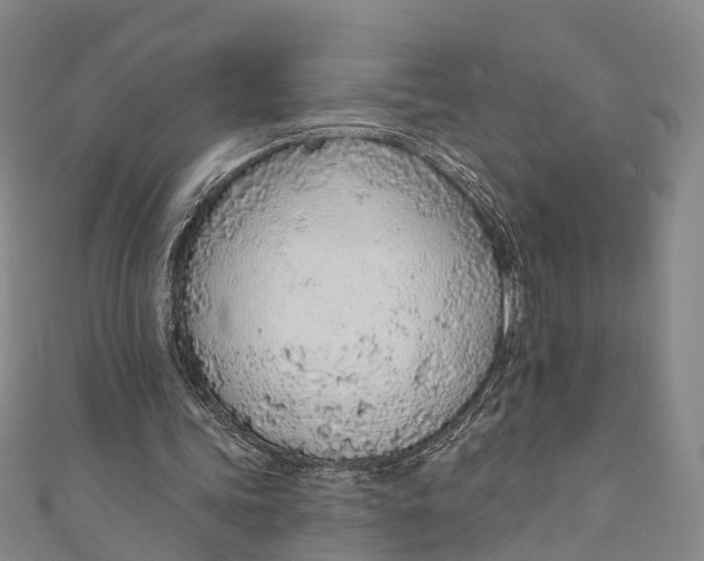 X0000110980339200907101414