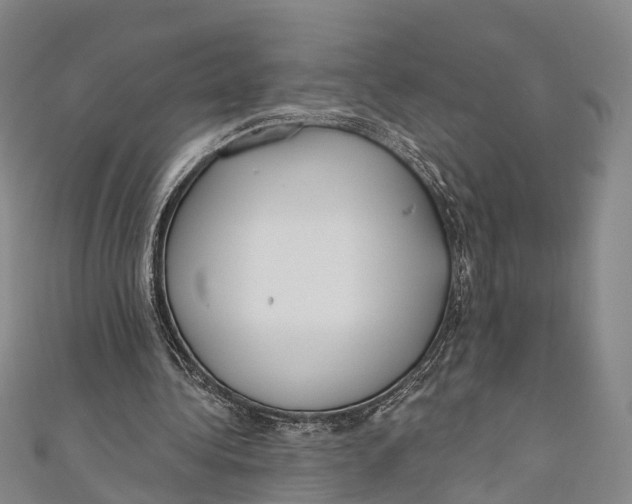 X0000110980340200907101414