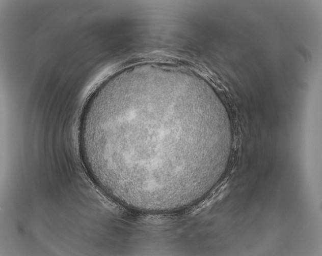 X0000110980341200907101415