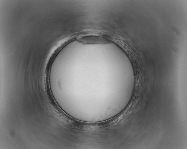 X0000110980342200907101415