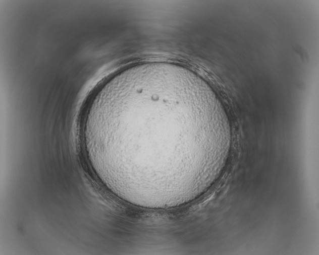 X0000110980343200907101415