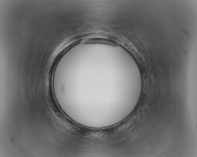 X0000110980344200907101415